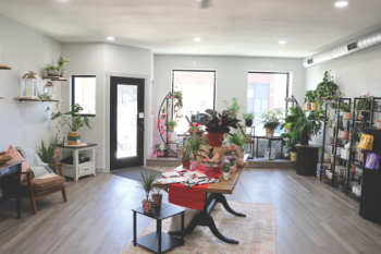 Renovations Feature