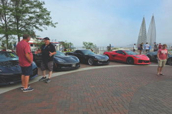 Vettes Article Feature